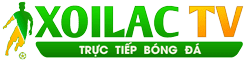 thể thao bóng đá 24h